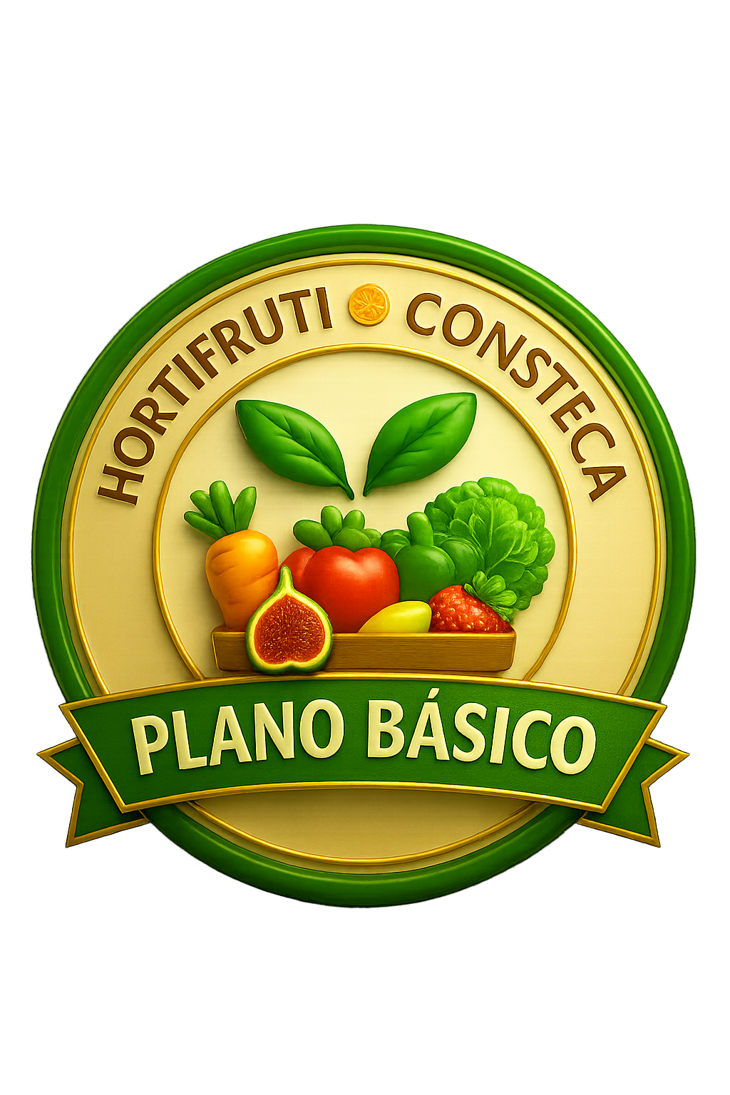 Plano Básico